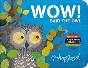 Book cover of Wow! Said the Owl, a book about colours, by Tim Hopgood